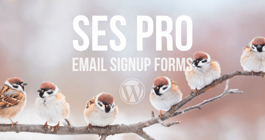 [ SES Pro WordPress Plugin ]